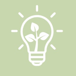 lightbulb green icon